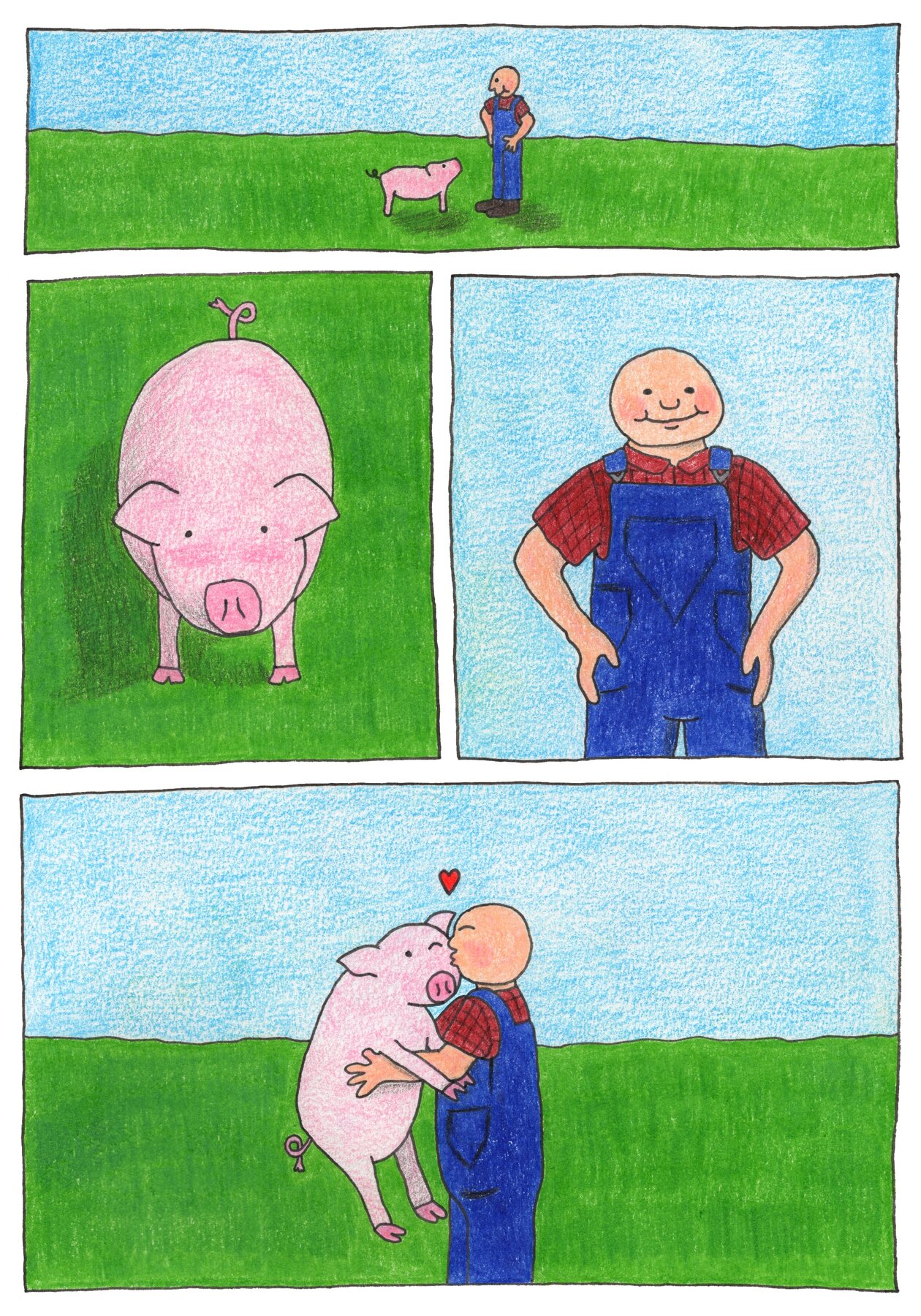 Pig